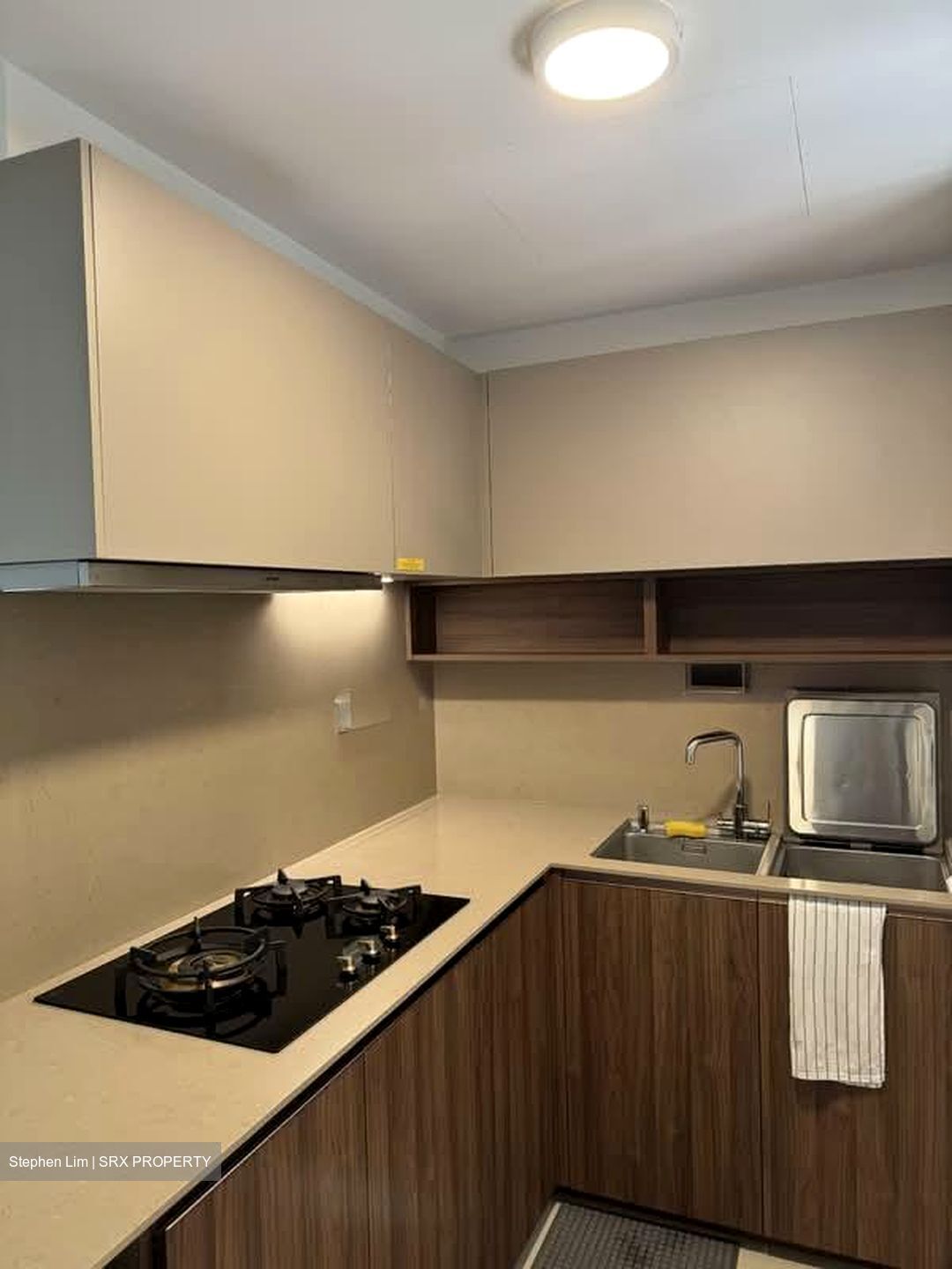 JadeScape (D20), Condominium #559038391